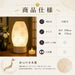 置き型 盆提灯 白紋天 LEDコードレス コンパクト 初盆 新盆